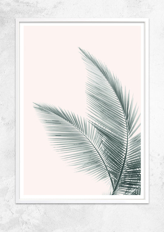 Silver Coconut Palms No II